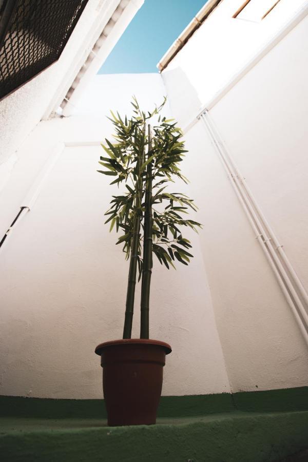 Platanos - Apartamento